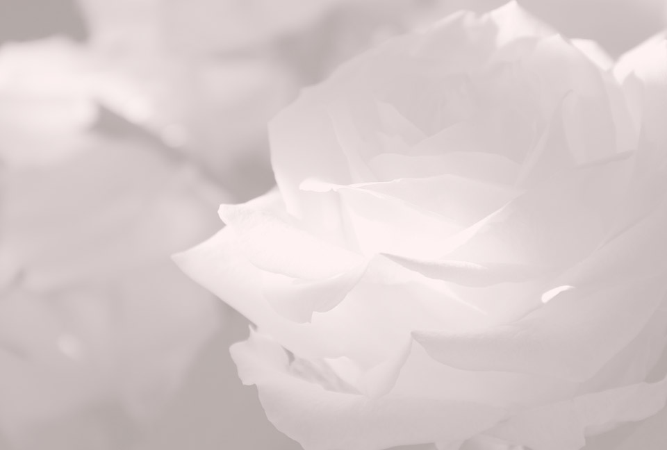 Decesos Prima Única