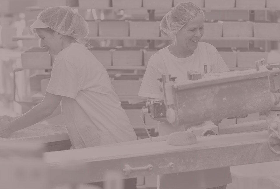 Vida para Colectivos